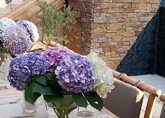 Casa Mea מלון 3*