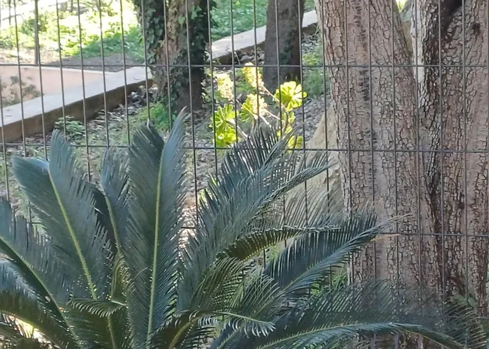 מלון Casa Mea Santa-Maria-di-Lota