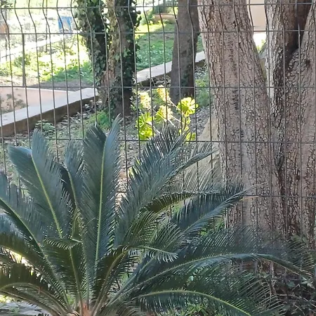 Hotel Casa Mea Santa-Maria-di-Lota